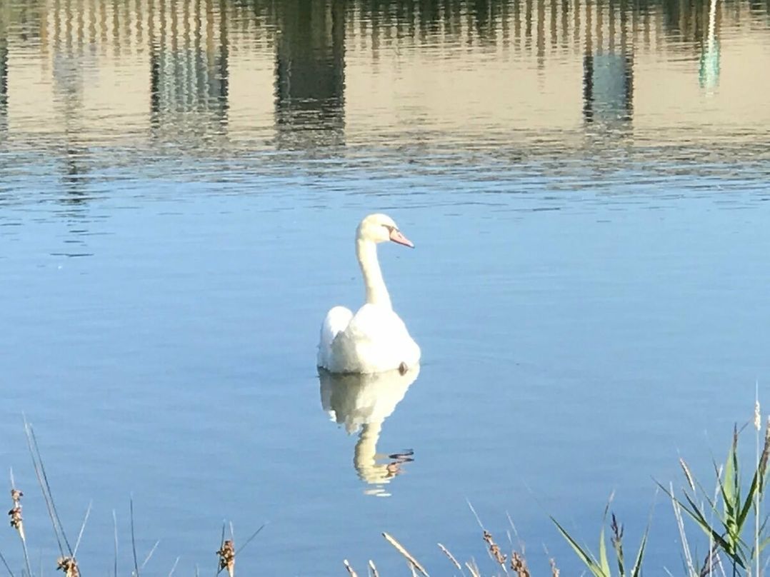 Pinewoods Holiday Park - Holiday Accommodation 19805