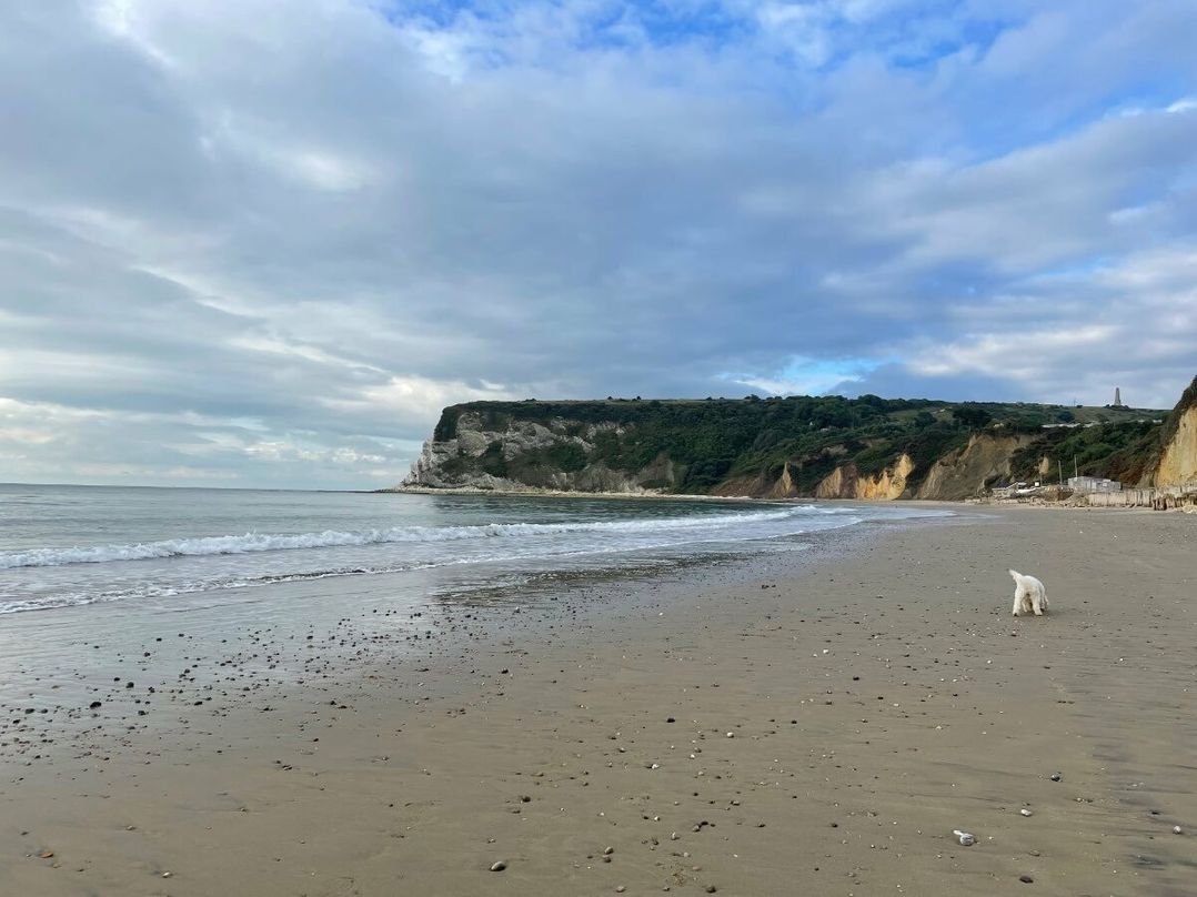 Whitecliff Bay Holiday Park - Holiday Accommodation 19837