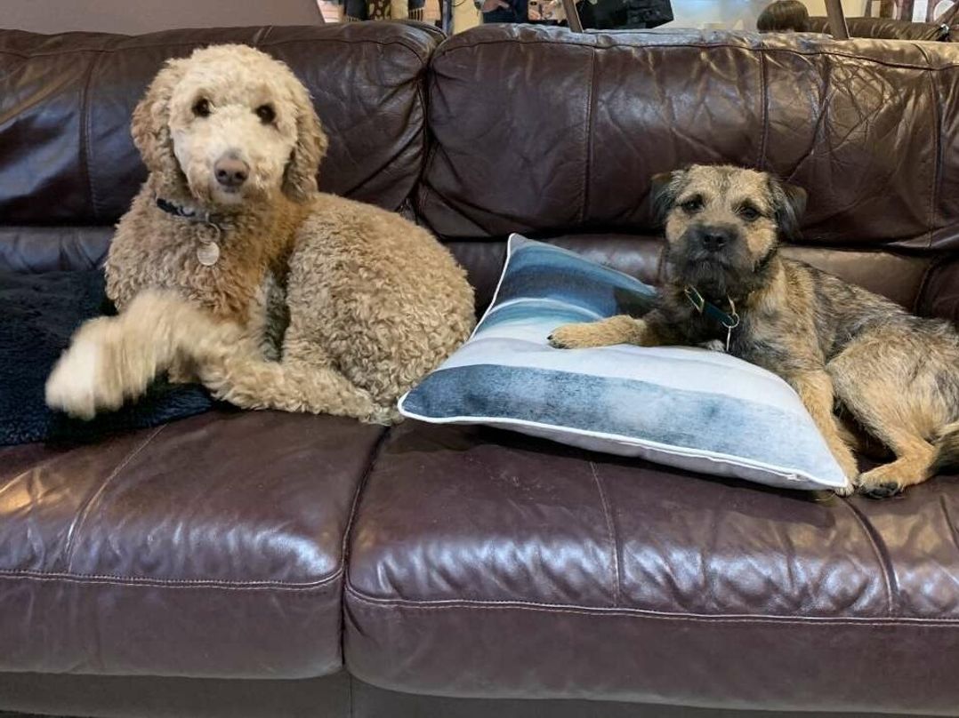 St Minver Holiday Park - Holiday Accommodation 19947