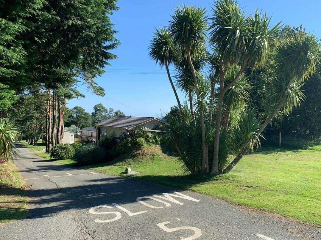 Dinas Cross Country Park - Holiday Accommodation 20053