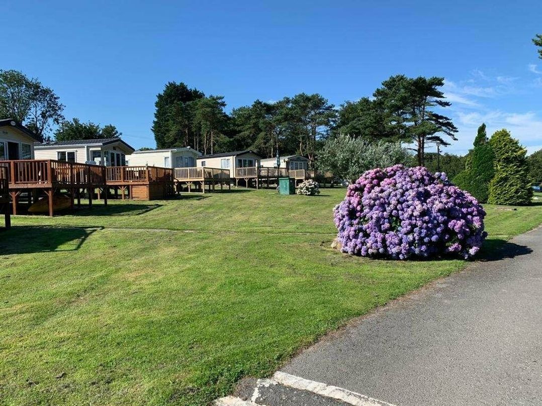 Dinas Cross Country Park - Holiday Accommodation 20053