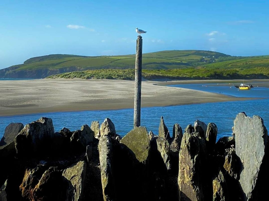 Dinas Cross Country Park - Holiday Accommodation 20053