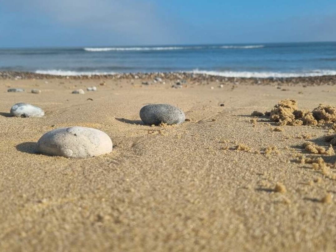 Seashore Holiday Park - Holiday Accommodation 20075