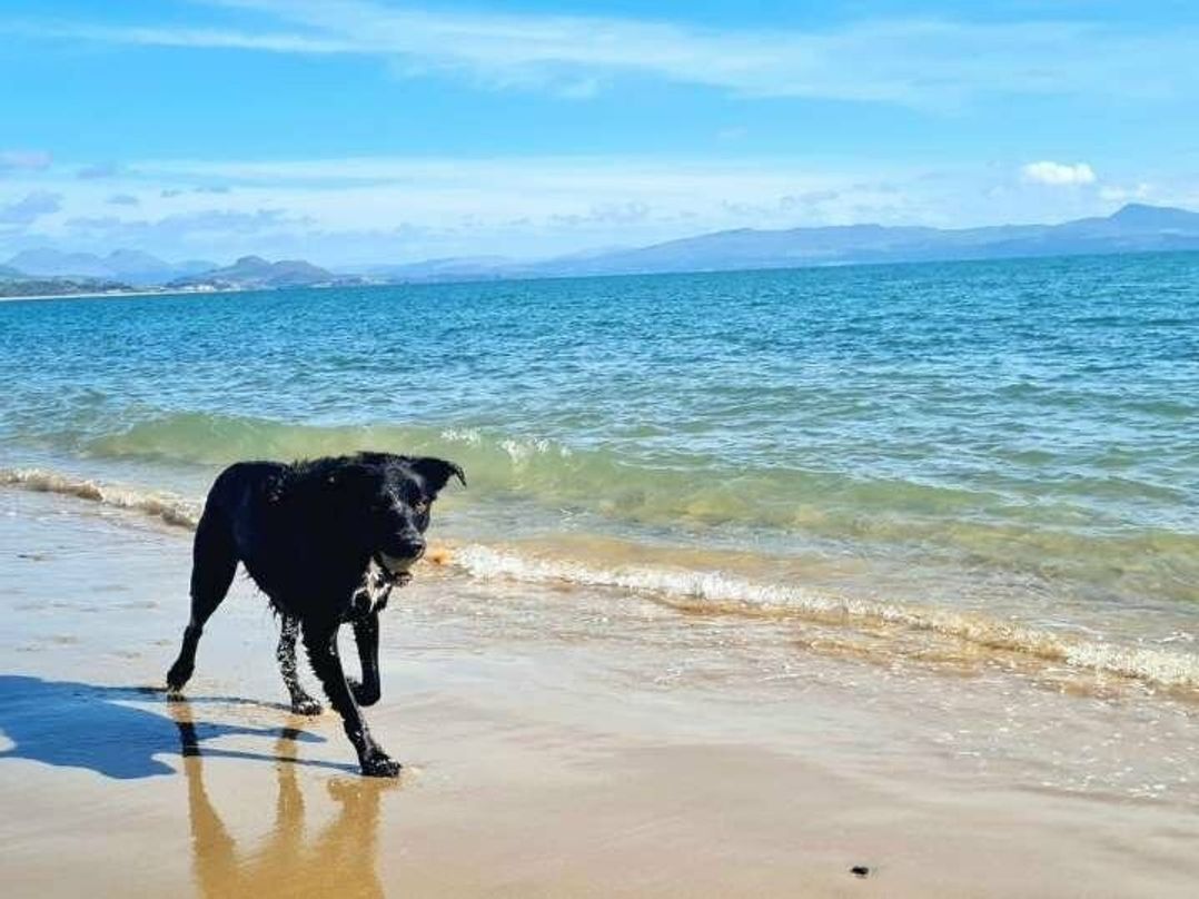 Hafan y Mor Haven - Holiday Accommodation 20295