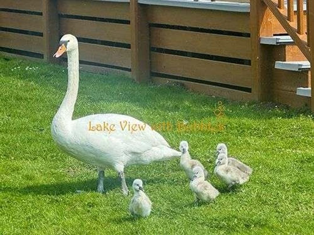 Tattershall Lakes Country Park - Holiday Accommodation 20340