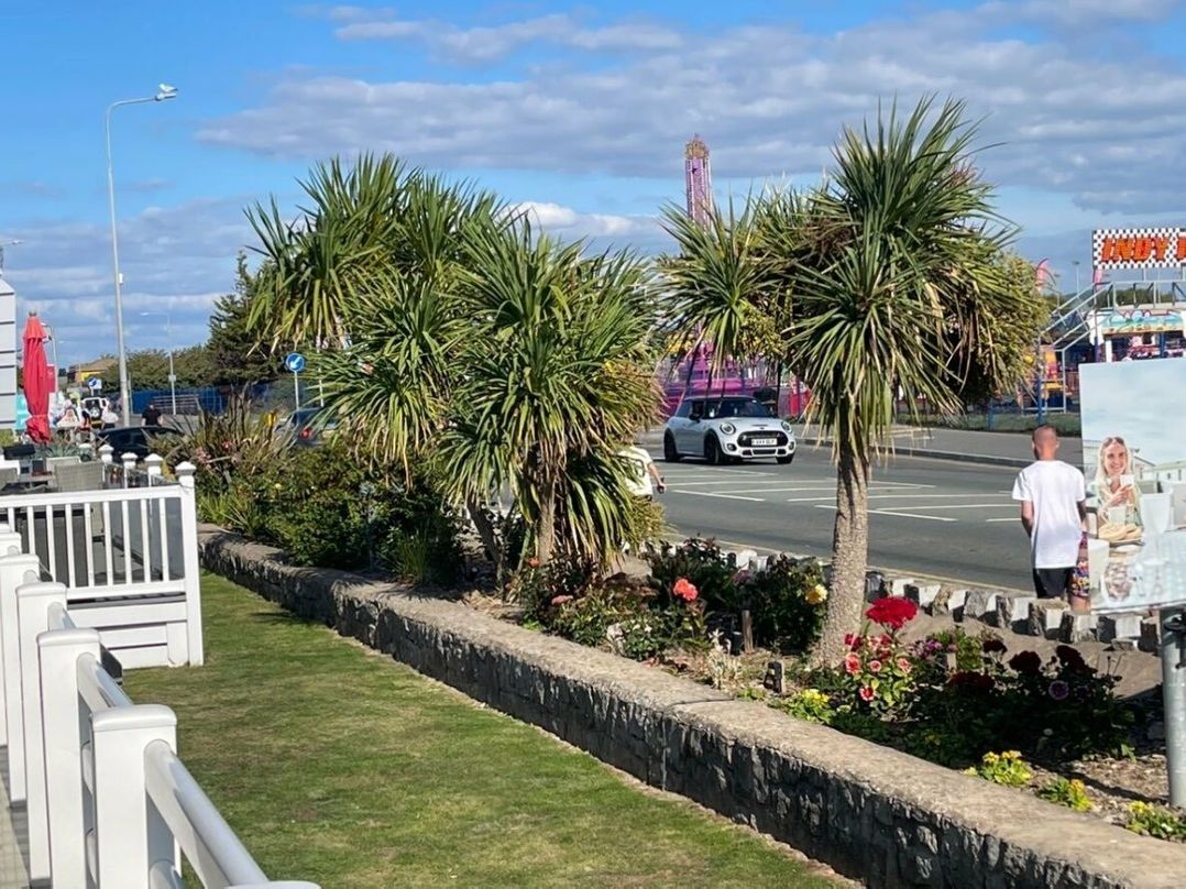 Lyons Winkups and Primrose - Holiday Accommodation 20530