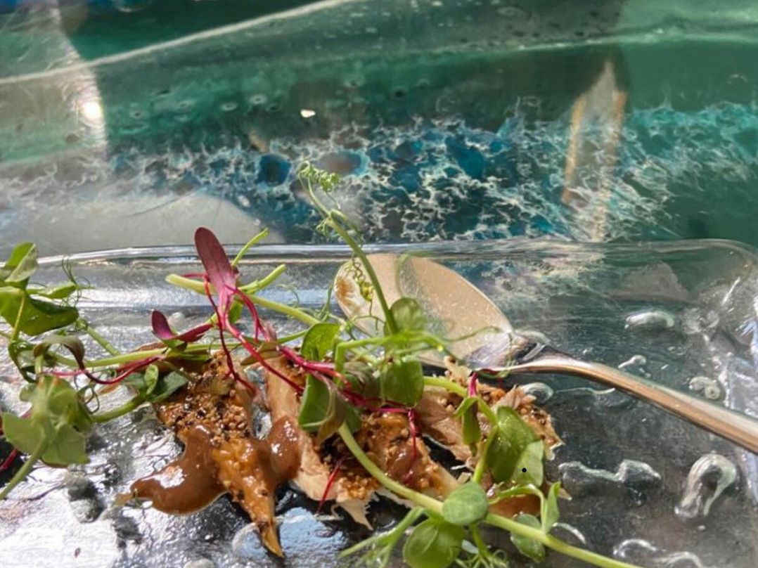 Shorefield Country Park - Holiday Accommodation 20550