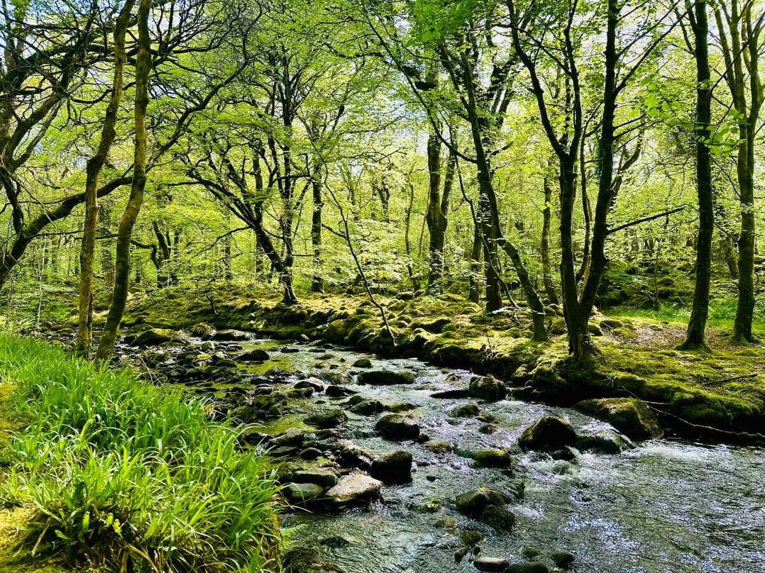 Barmouth Bay Holiday Village - Holiday Accommodation 20637