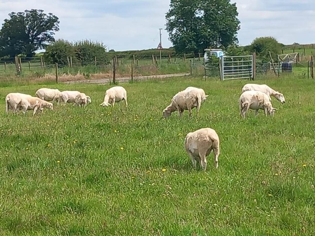 Trinity Lodge - Holiday Accommodation 20695