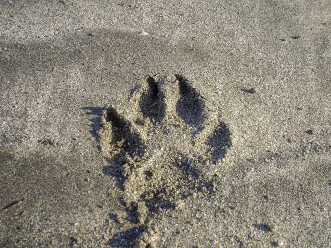 Par Sands Holiday Park - Holiday Accommodation 20712