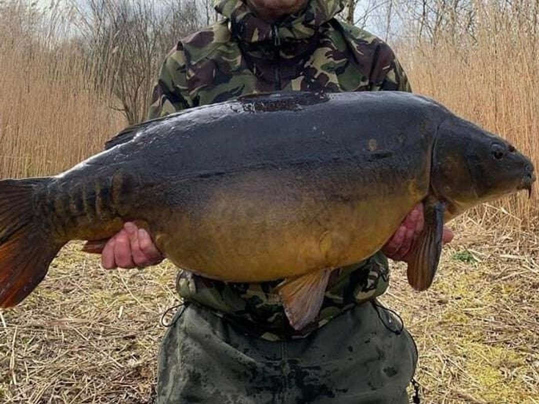 7 Lakes Country Park - Holiday Accommodation 20744