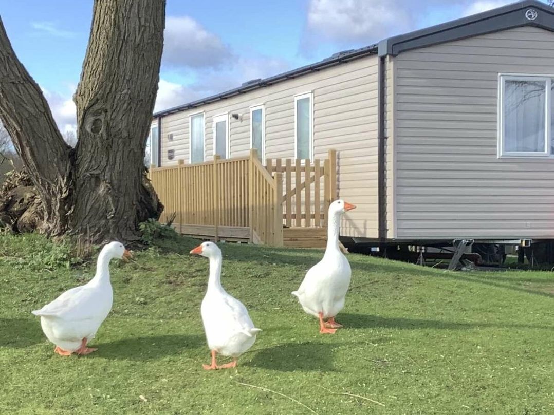 7 Lakes Country Park - Holiday Accommodation 20744