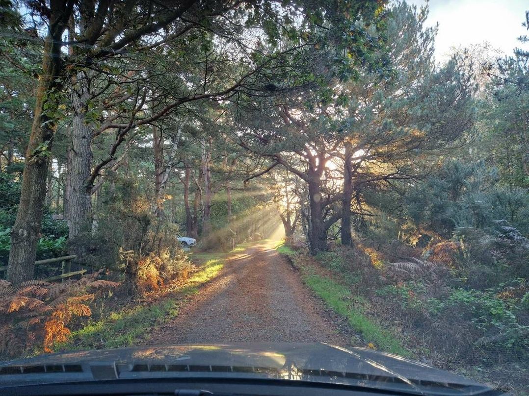 Kelling Heath Holiday Park - Holiday Accommodation 20762