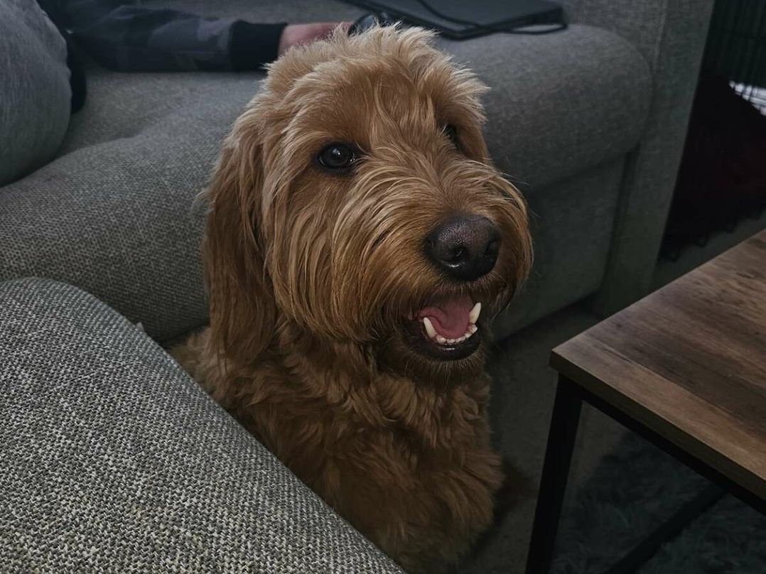 Barmouth Bay Holiday Village - Holiday Accommodation 20791