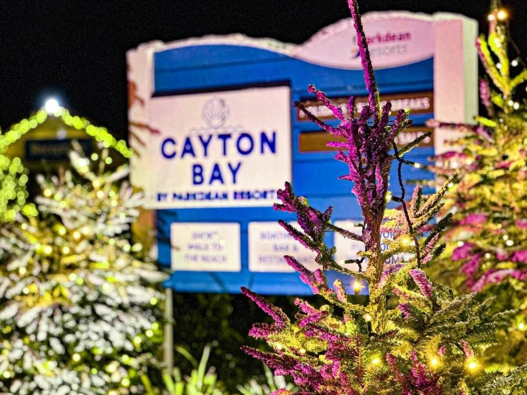 Cayton Bay Caravan Park - Holiday Accommodation 20825