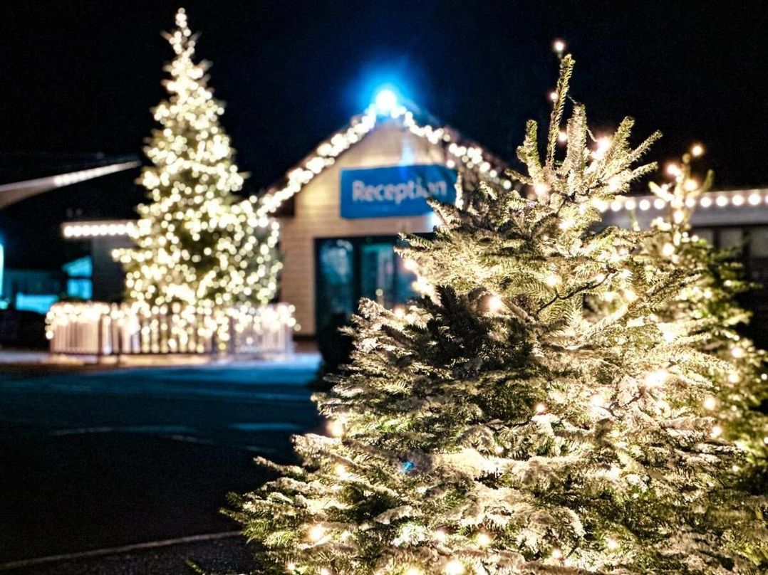 Cayton Bay Caravan Park - Holiday Accommodation 20825