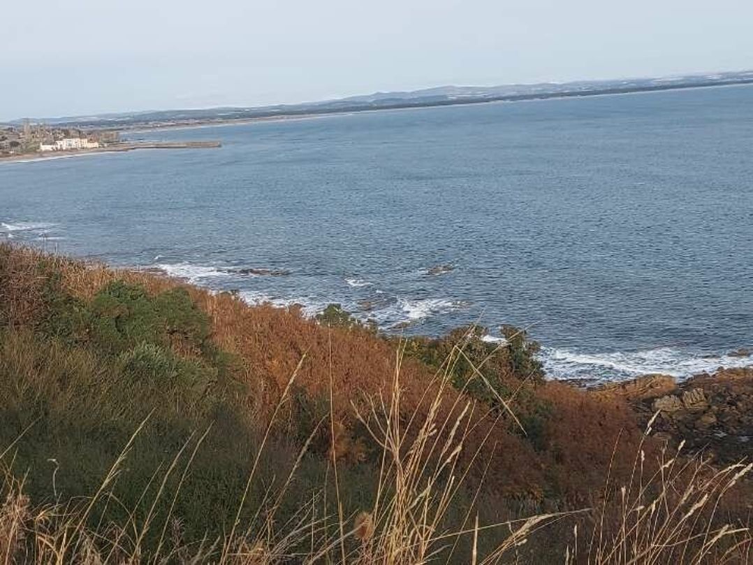 St Andrews Holiday Park - Holiday Accommodation 20848