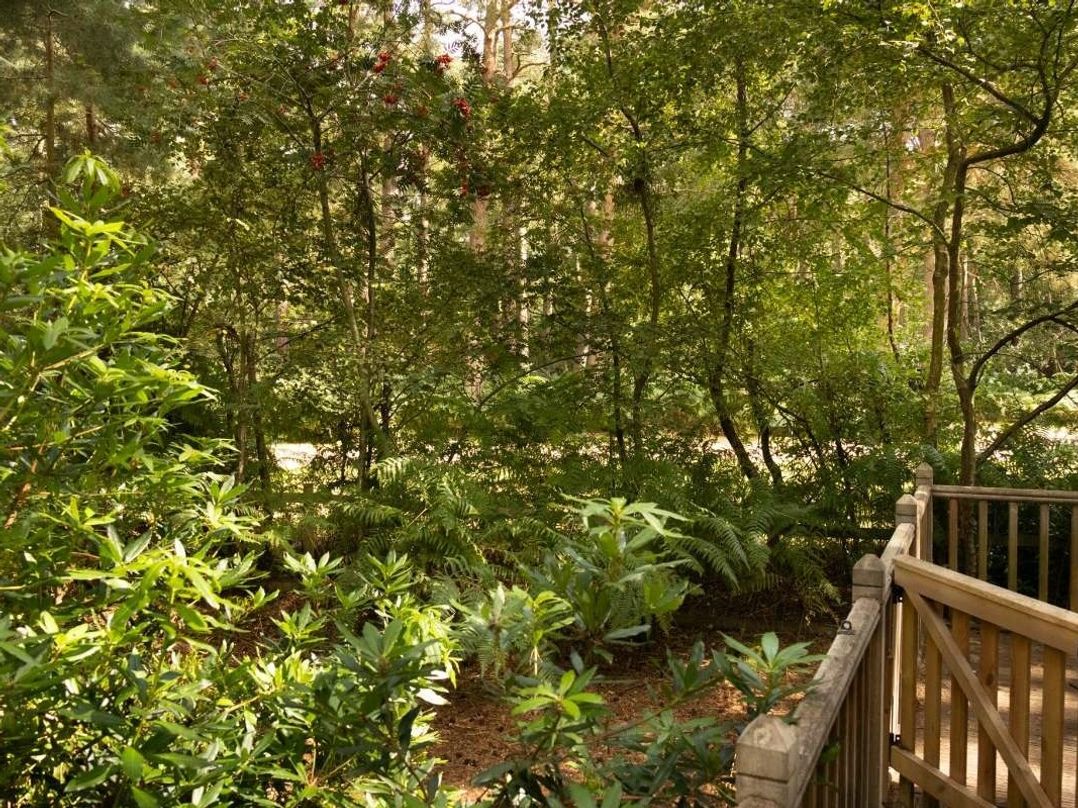 Kelling Heath Holiday Park - Holiday Accommodation 21026