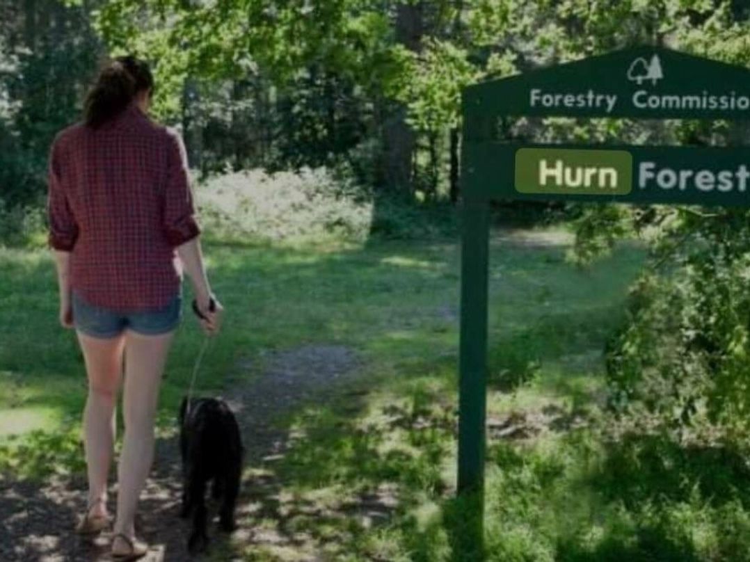 Oakdene Forest Park - Holiday Accommodation 21113