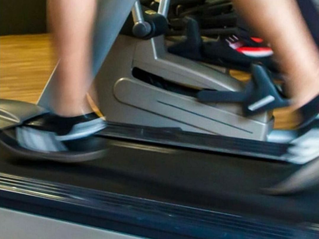 Oakdene Forest Park - Holiday Accommodation 21113