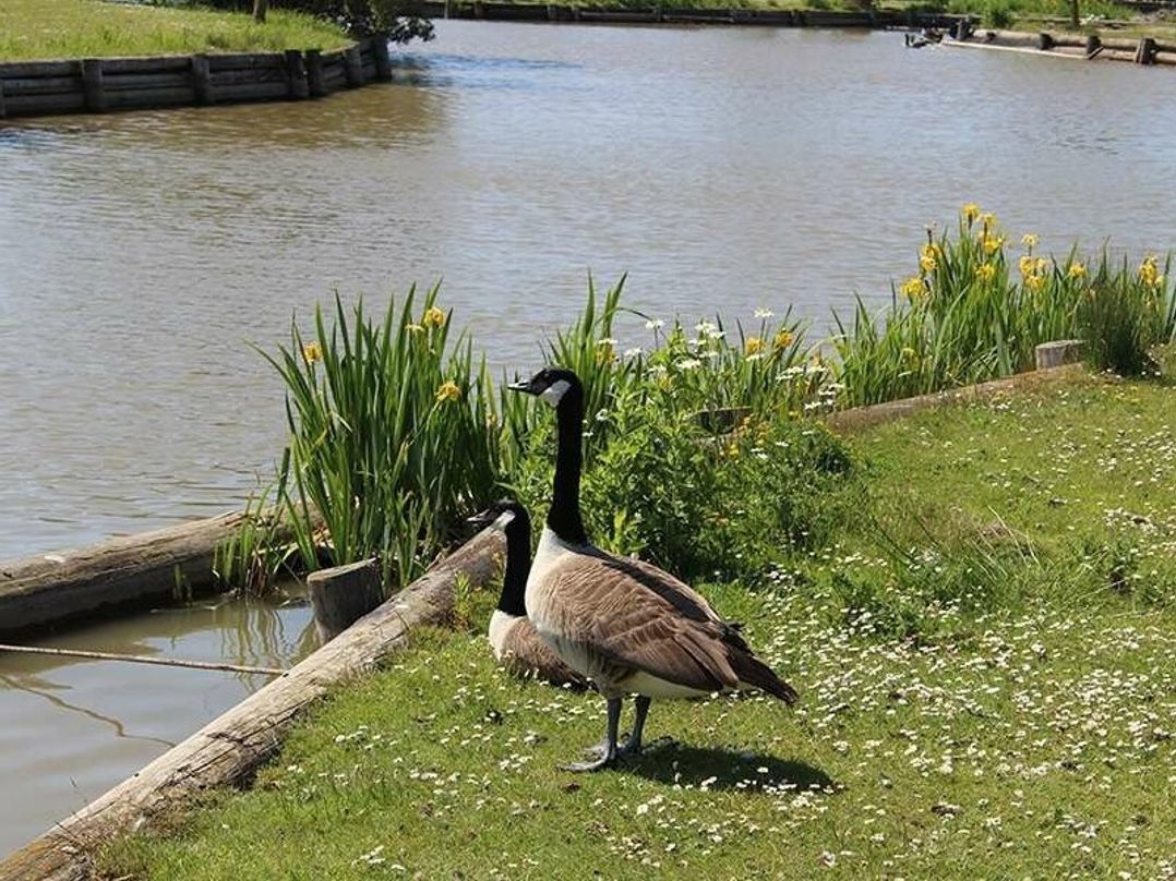 Waterside Leisure Park - Holiday Accommodation 21117