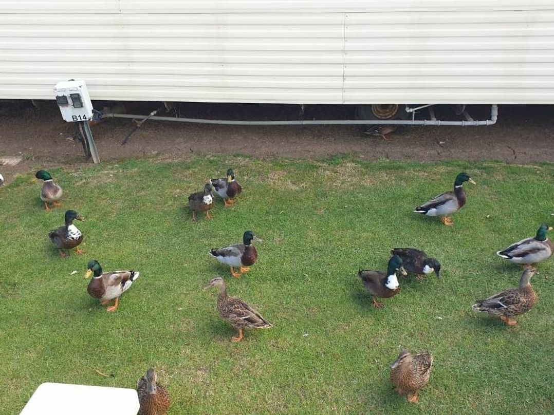 Waterside Leisure Park - Holiday Accommodation 21117