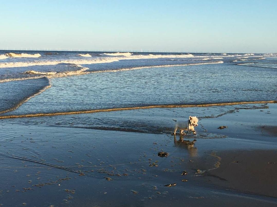 Happy Days Seaside Holiday Park - Holiday Accommodation 21143