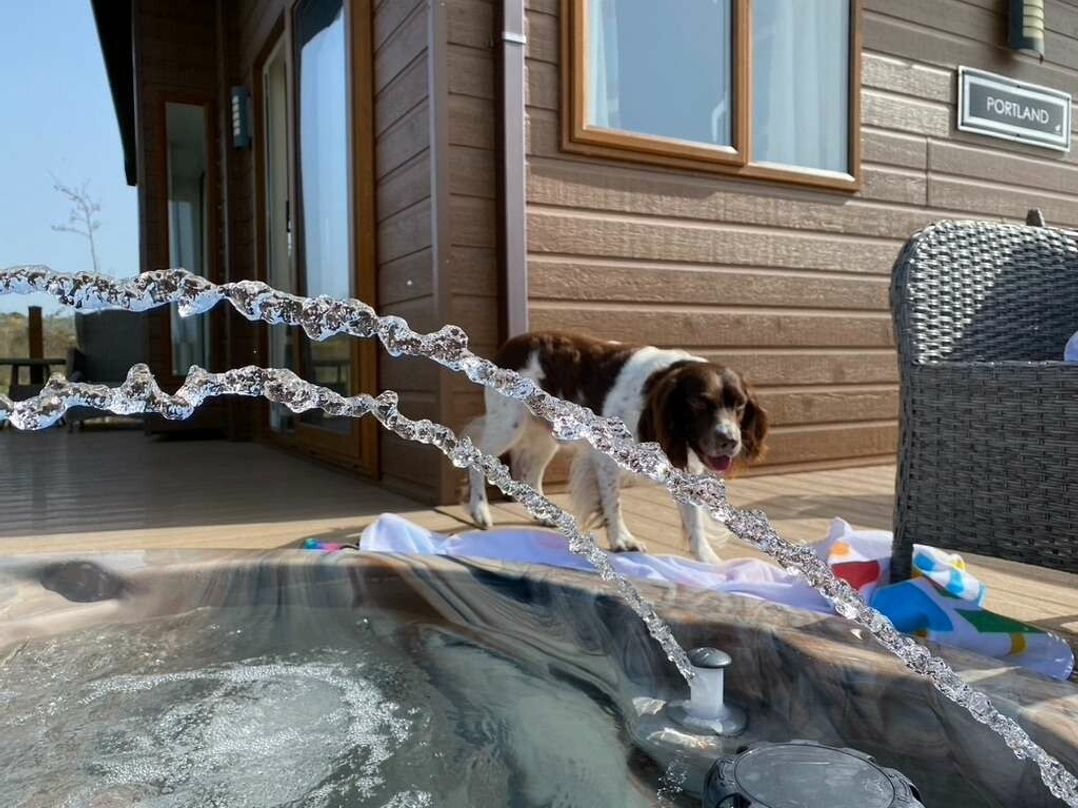 Hafan y Mor Haven - Holiday Accommodation 21215