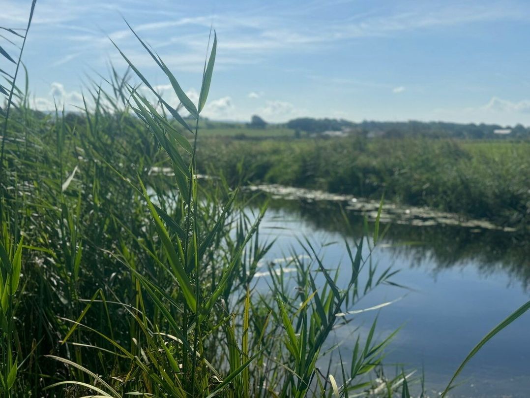 Glasson Marina Holiday Park - Holiday Accommodation 21332