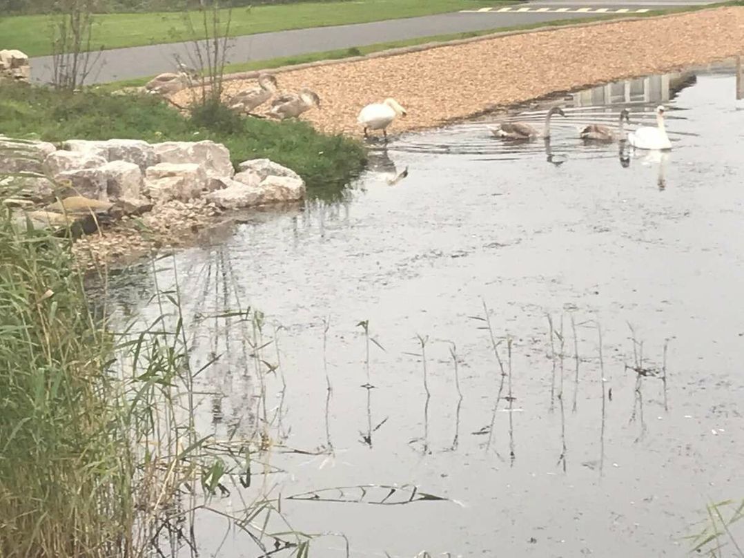 Lakeland Leisure Park - Holiday Accommodation 21350