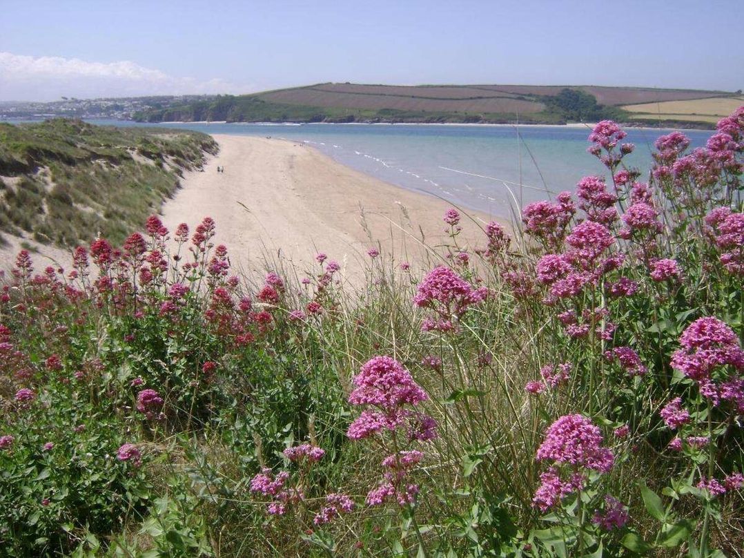 St Minver Holiday Park - Holiday Accommodation 21443