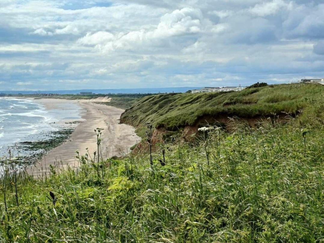 Crimdon Dene Holiday Park - Holiday Accommodation 21463