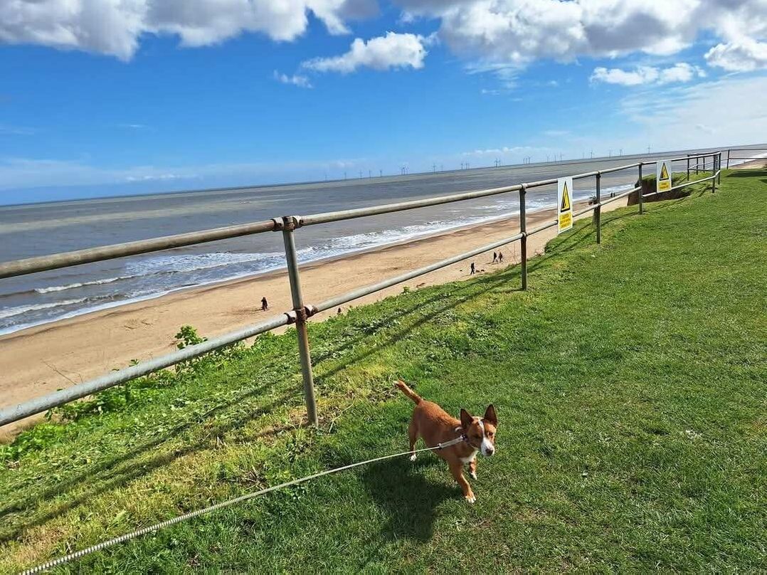 California Cliffs Holiday Park - Holiday Accommodation 21505