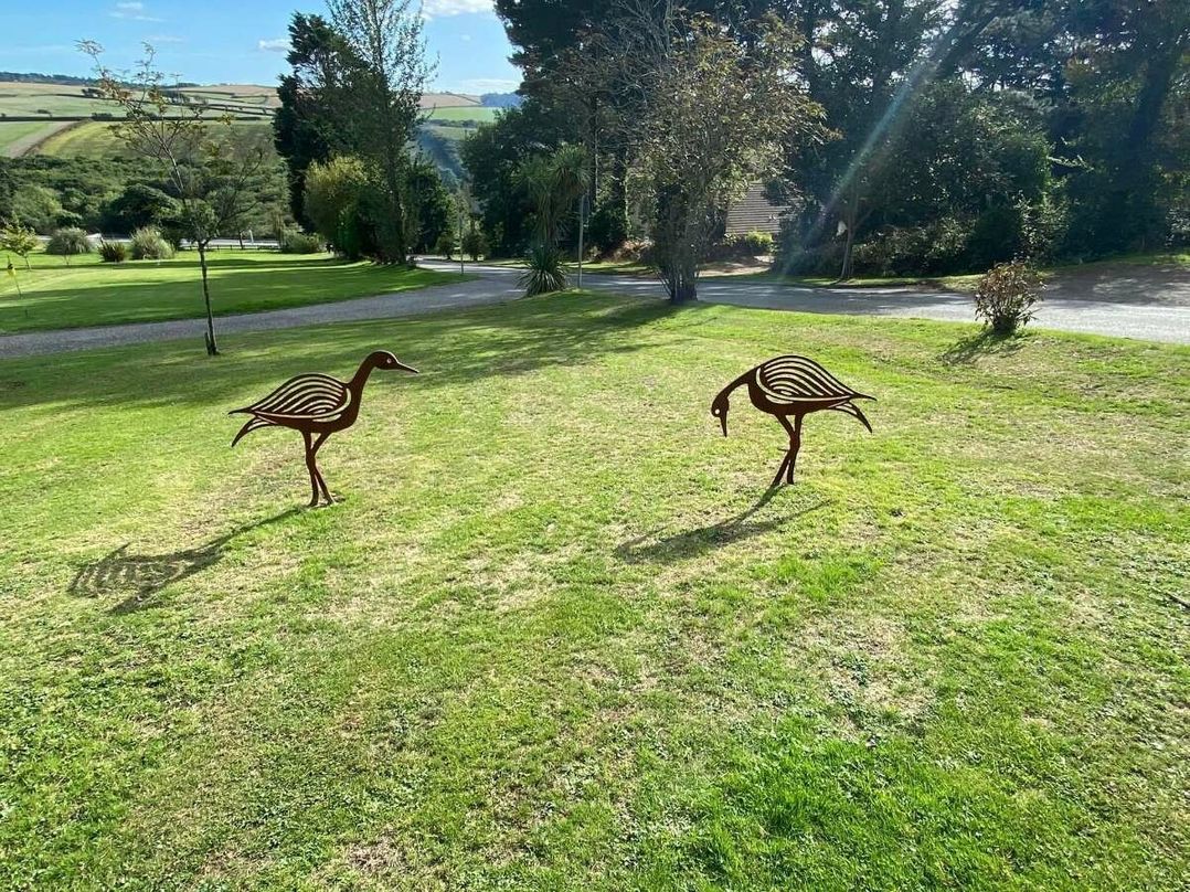 Newquay Holiday Park - Holiday Accommodation 21510