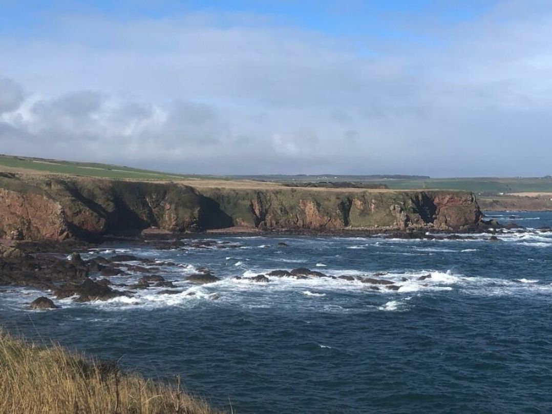 Eyemouth Holiday Park - Holiday Accommodation 21591