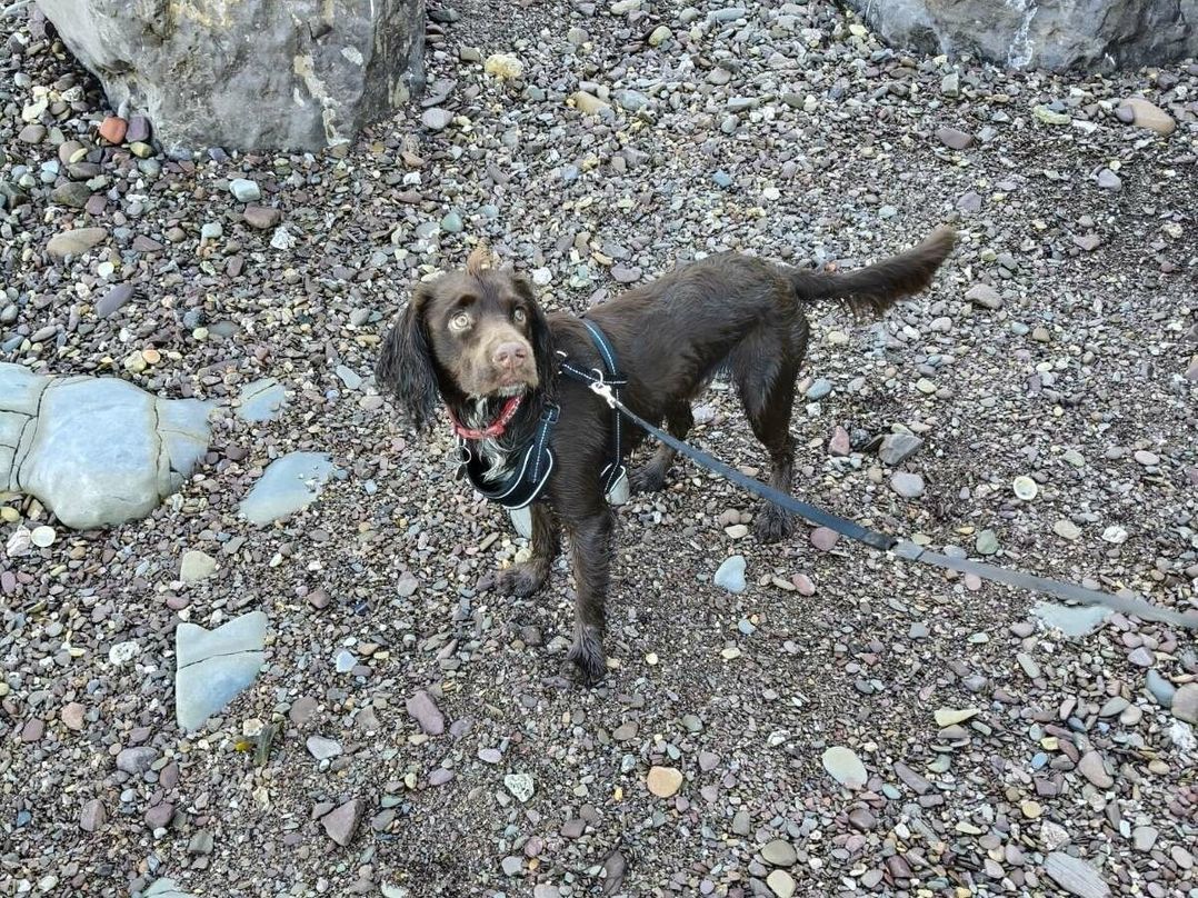 Doniford Bay - Holiday Accommodation 21607