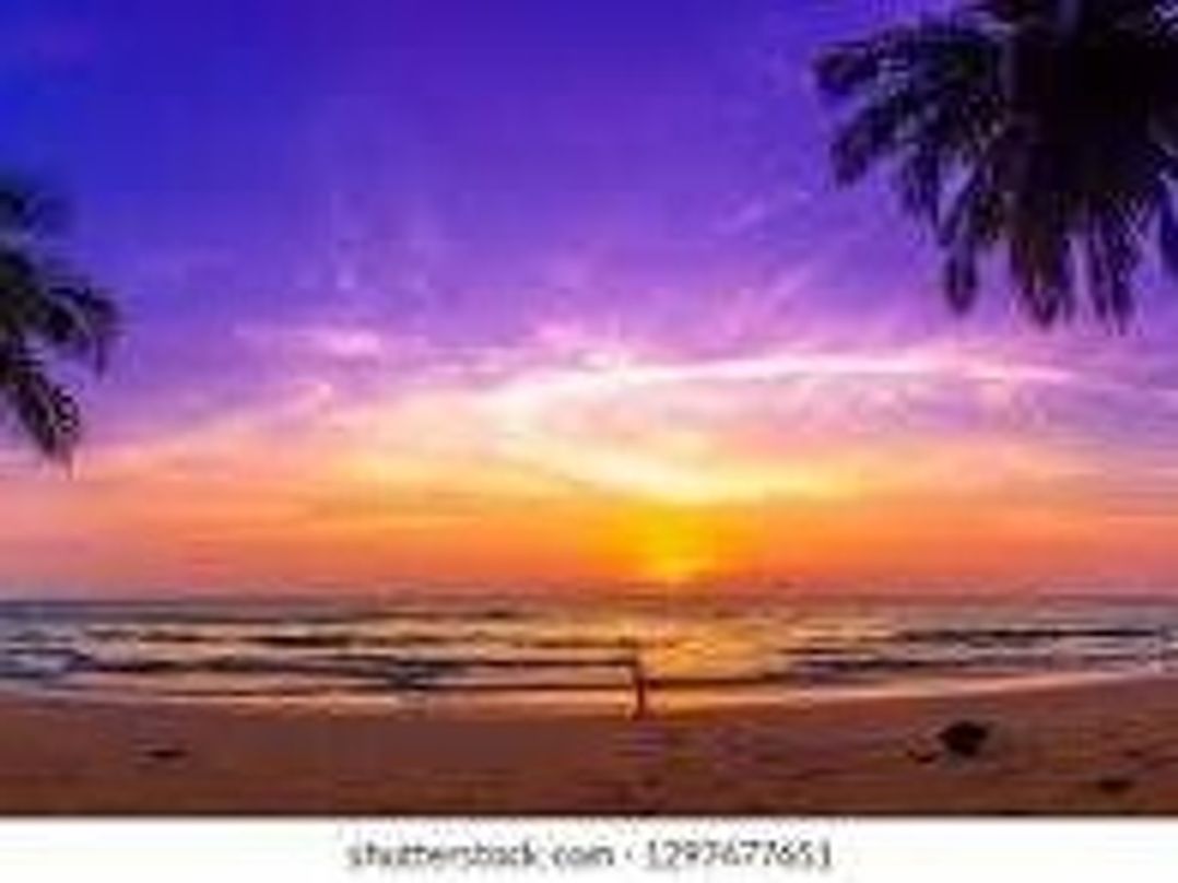 Kingfisher Caravan Park - Holiday Accommodation 21635