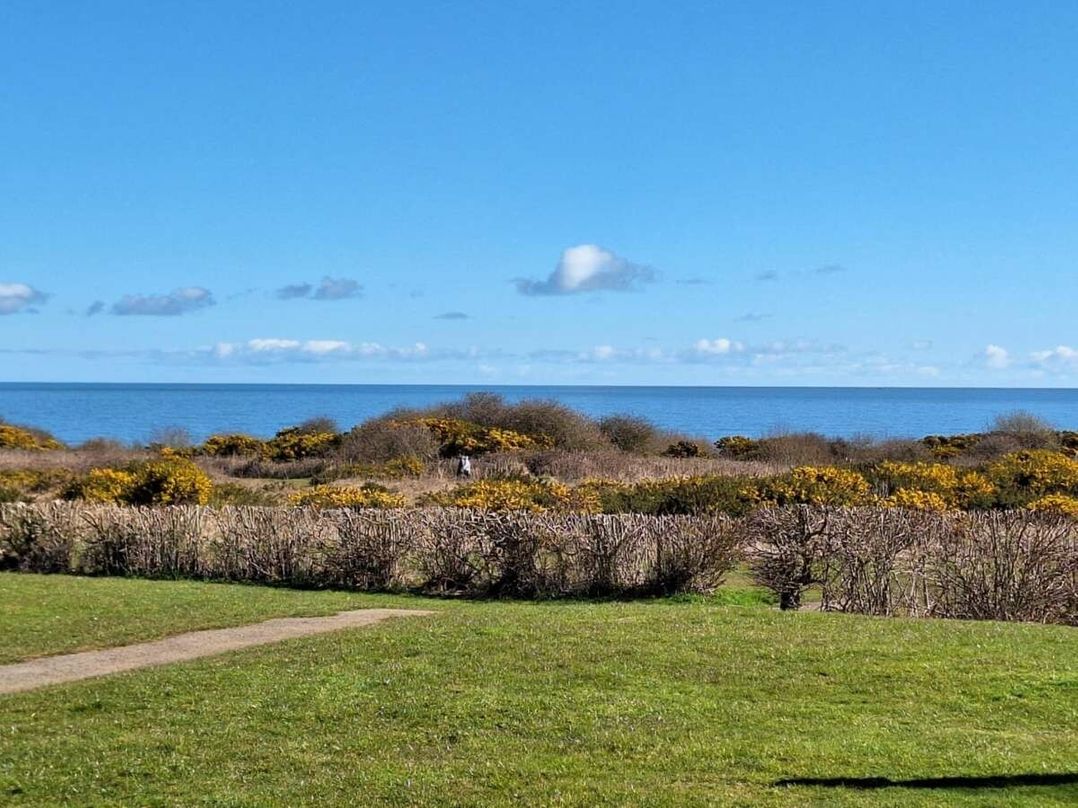 Primrose Valley Holiday Park - Holiday Accommodation 21641