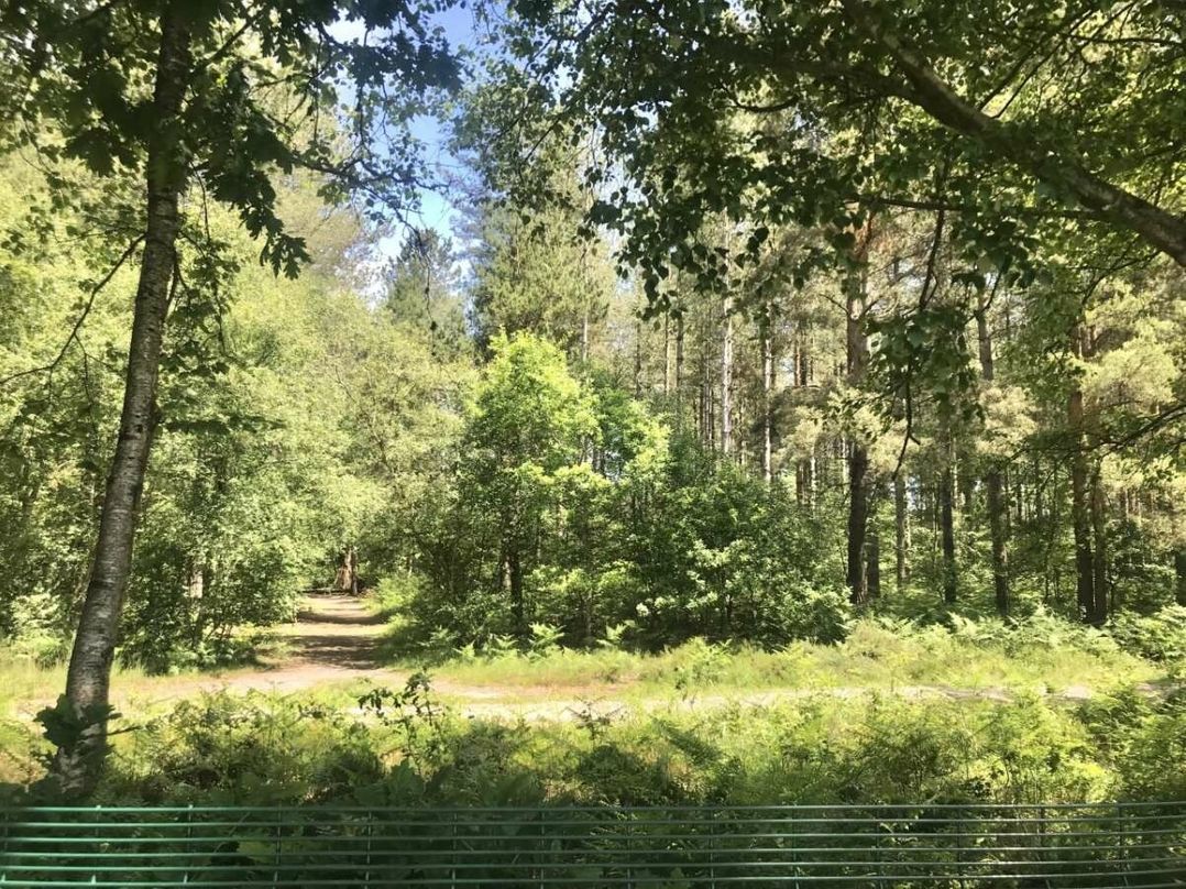 Oakdene Forest Park - Holiday Accommodation 21736