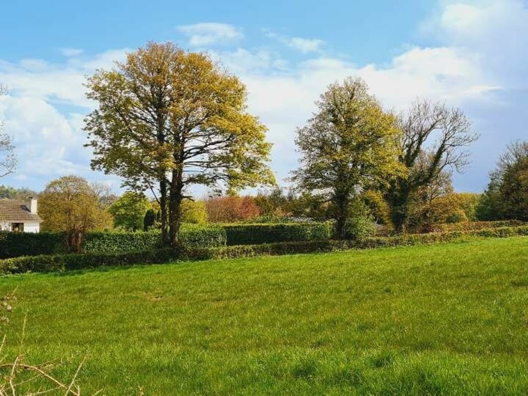 Allensbank Holiday Park - Holiday Accommodation 21828