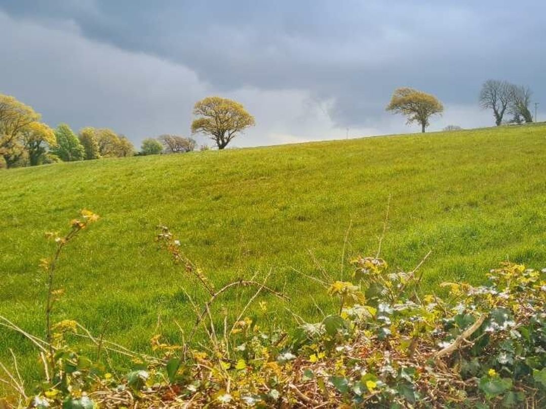 Allensbank Holiday Park - Holiday Accommodation 21828