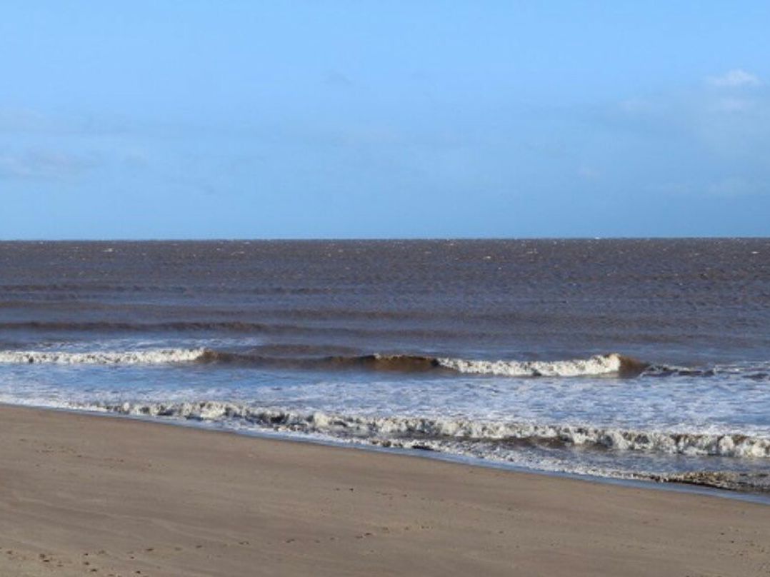 Golden Palm Resort - Holiday Accommodation 21852