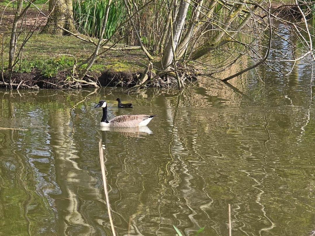 Skipsea Sands Holiday Park - Holiday Accommodation 21855