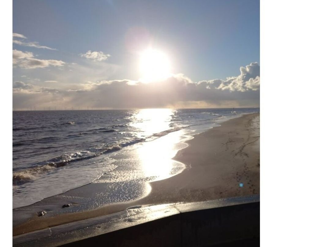 Golden Palm Resort - Holiday Accommodation 21882