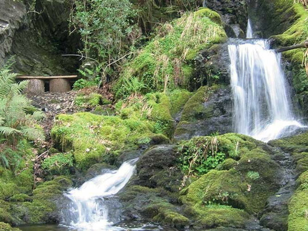 Aberdunant Hall Holiday Park - Holiday Accommodation 21962