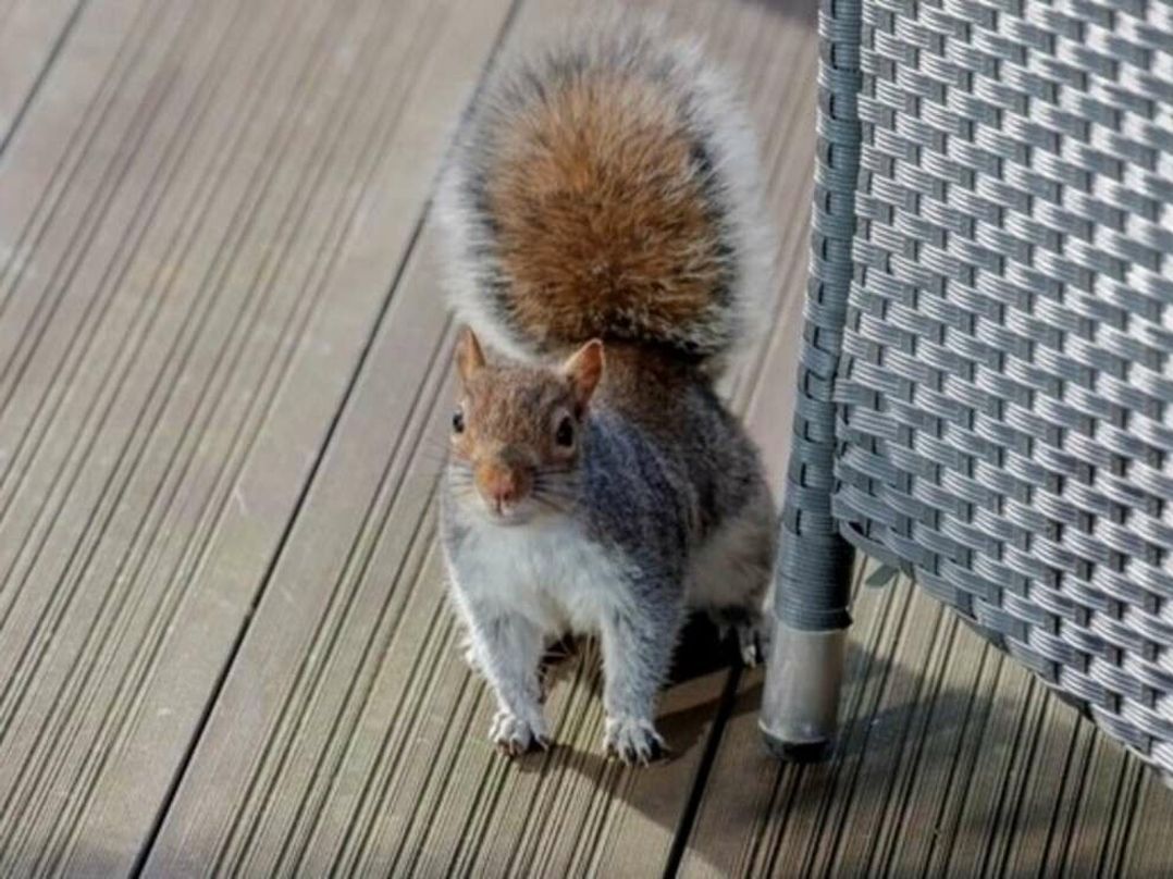 Rockley Park - Holiday Accommodation 21973