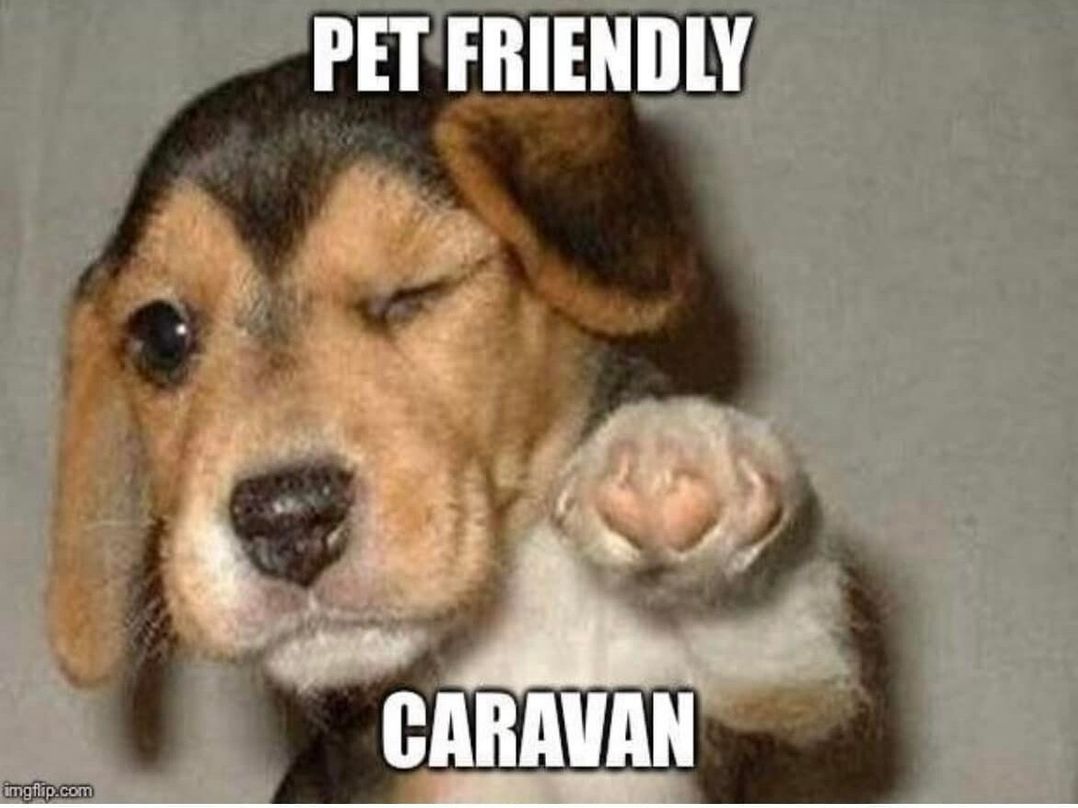 Coastfield Holiday Village - Holiday Accommodation 22001