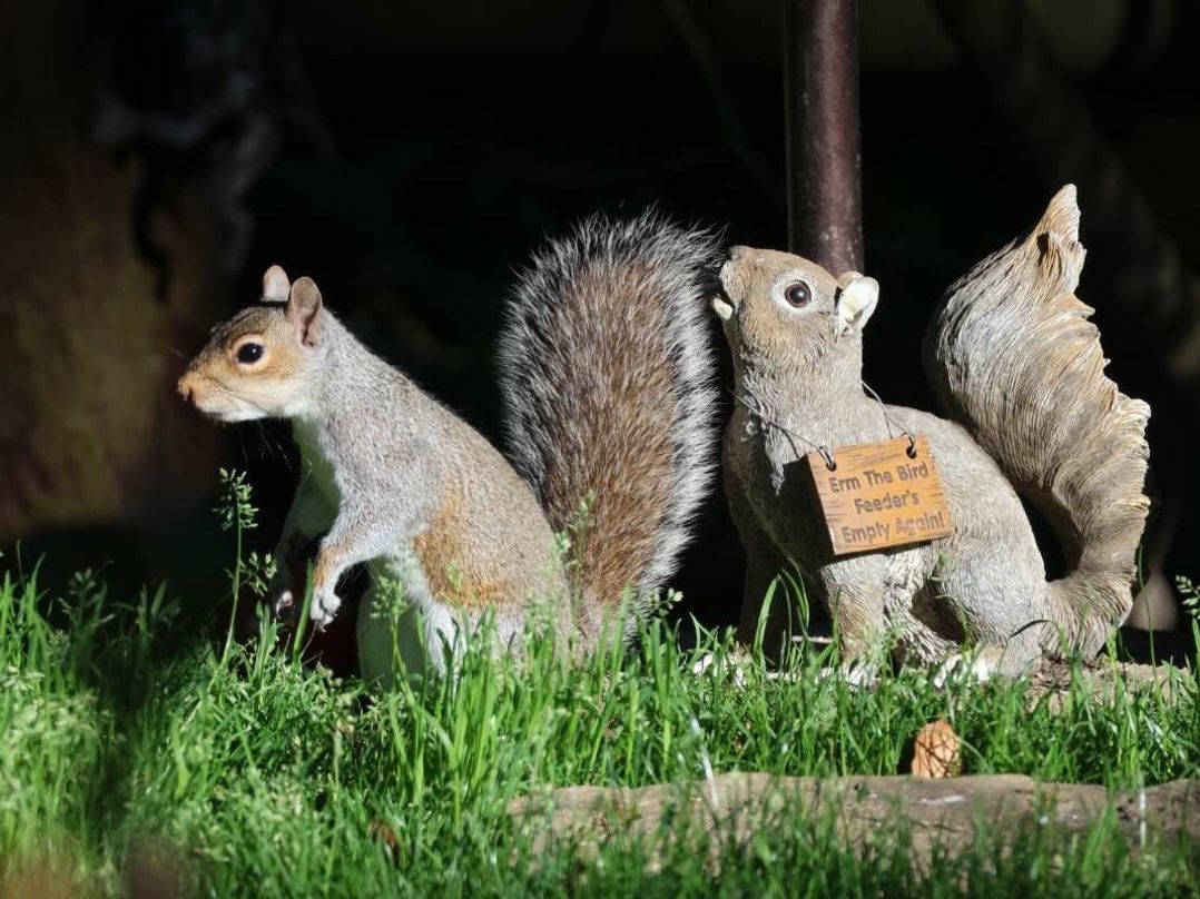 Aberdunant Hall Holiday Park - Holiday Accommodation 22003