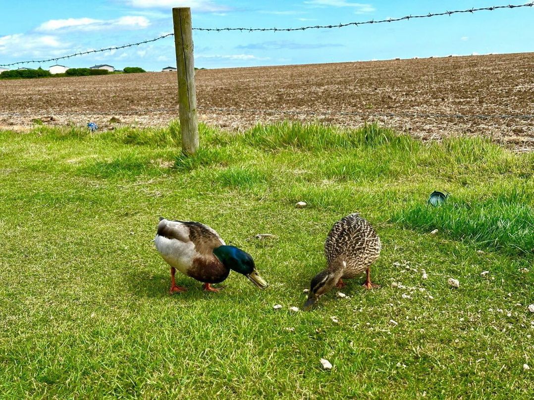 Stoupe Cross Caravan Park - Holiday Accommodation 22028