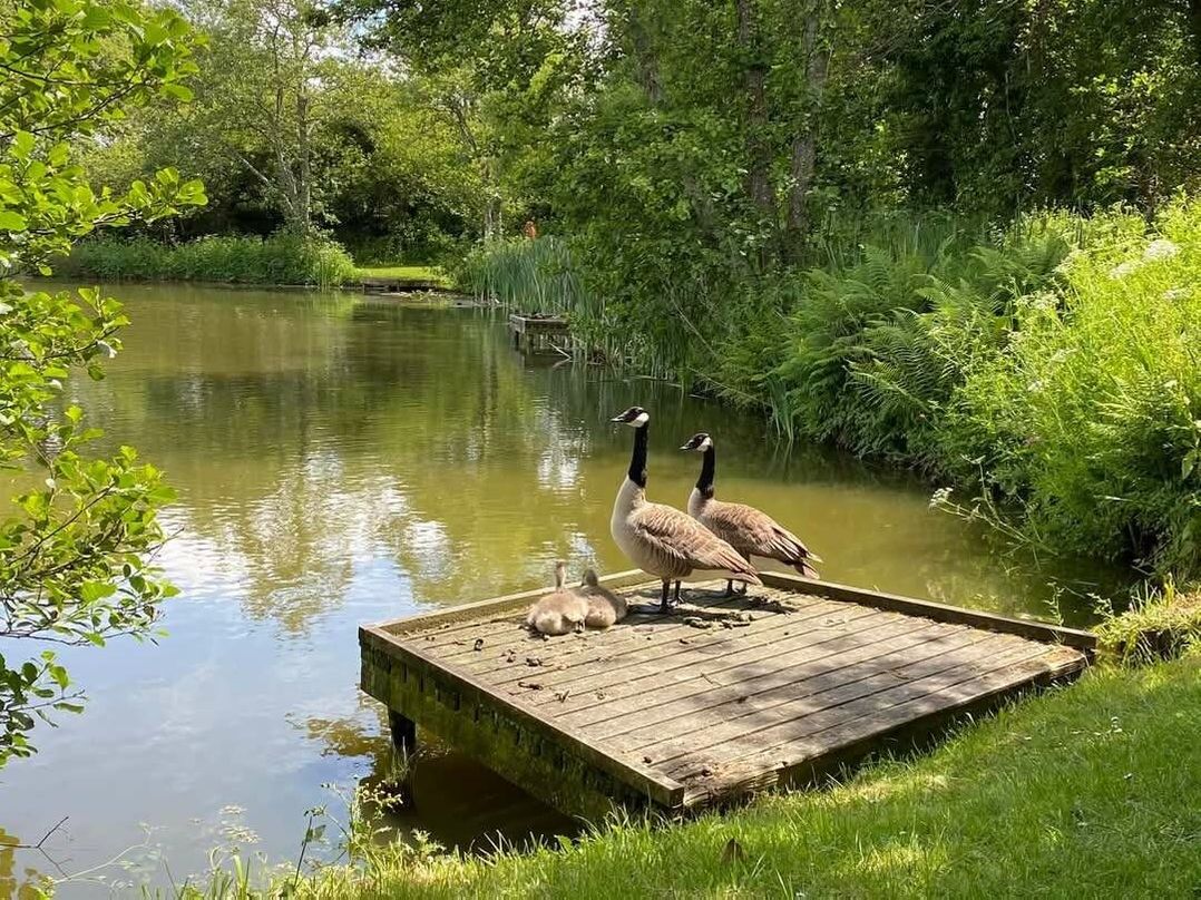 Trevella Park - Holiday Accommodation 22065